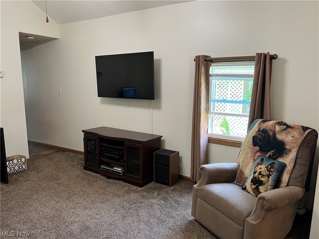 6610 Lear Nagle Road, Unit 170 North Ridgeville, OH 44039 - Photo 5 of 18