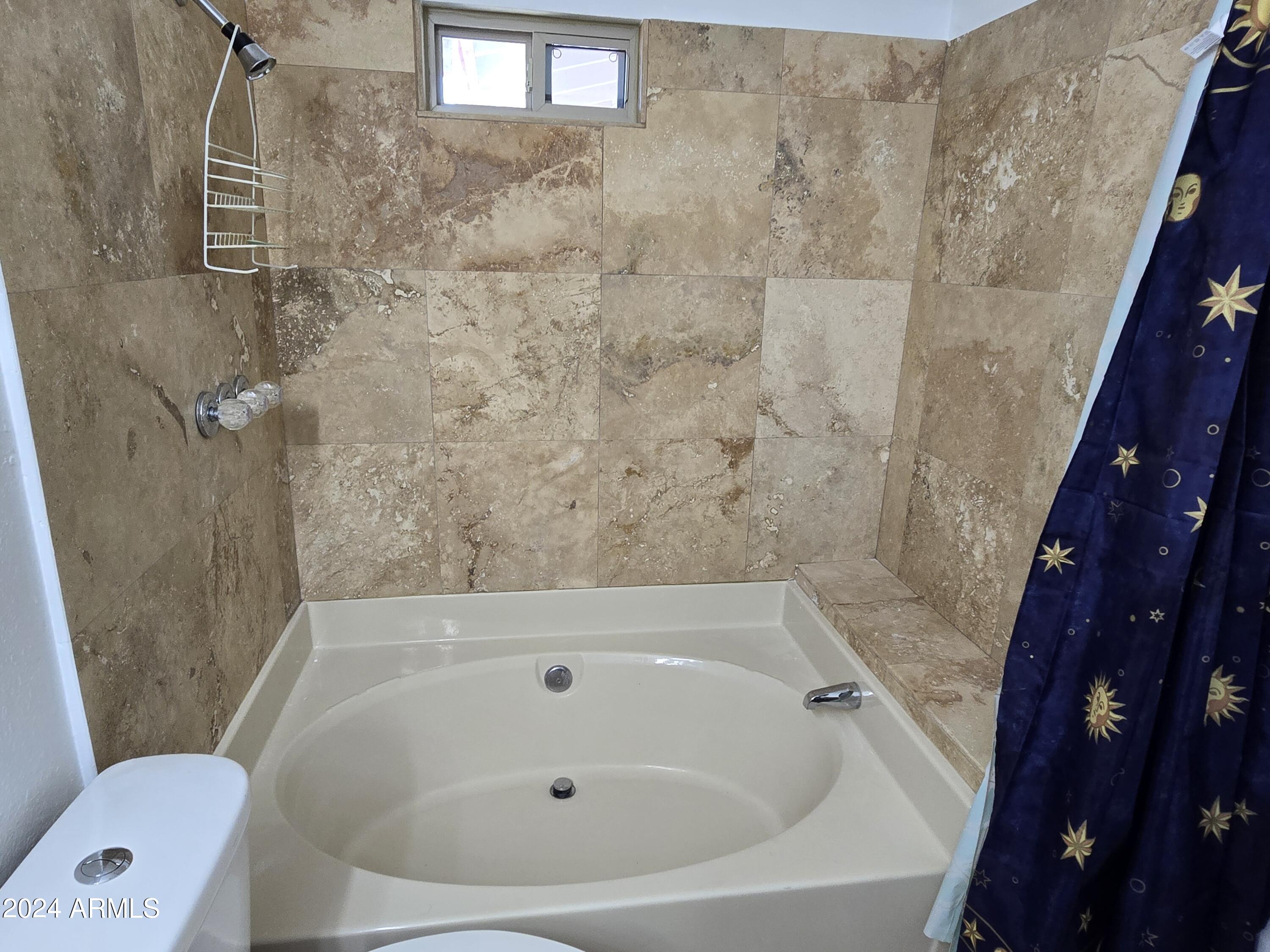 2243 South Cactus Road Apache Junction, AZ 85119 - Photo 19 of 24 20240708_112621