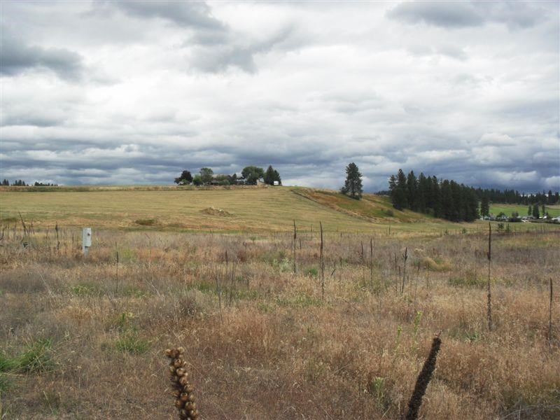 259 Hotchkiss Road Colville, WA 99114 - Photo 1 of 20