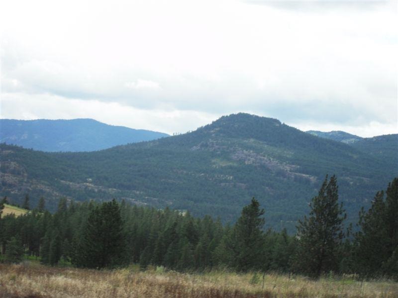 259 Hotchkiss Road Colville, WA 99114 - Photo 2 of 20