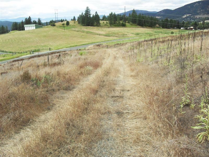 259 Hotchkiss Road Colville, WA 99114 - Photo 14 of 20