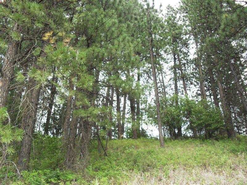 259 Hotchkiss Road Colville, WA 99114 - Photo 16 of 20