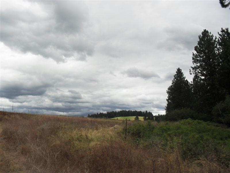 259 Hotchkiss Road Colville, WA 99114 - Photo 17 of 20