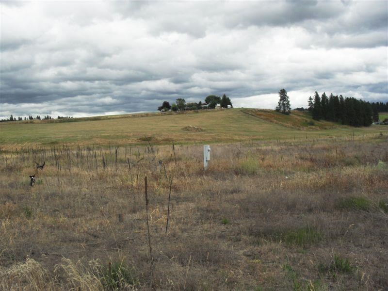 259 Hotchkiss Road Colville, WA 99114 - Photo 3 of 20