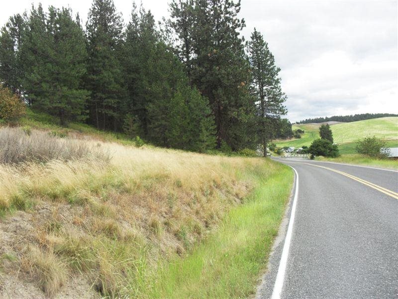 259 Hotchkiss Road Colville, WA 99114 - Photo 4 of 20
