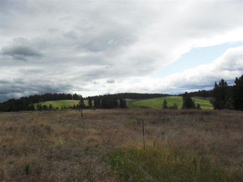 259 Hotchkiss Road Colville, WA 99114 - Photo 6 of 20