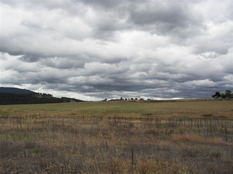 259 Hotchkiss Road Colville, WA 99114 - Photo 8 of 20