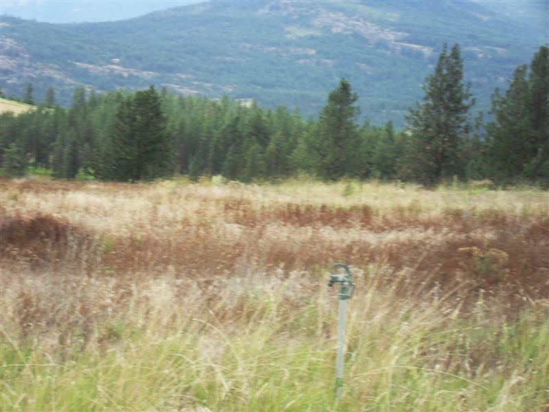259 Hotchkiss Road Colville, WA 99114 - Photo 9 of 20