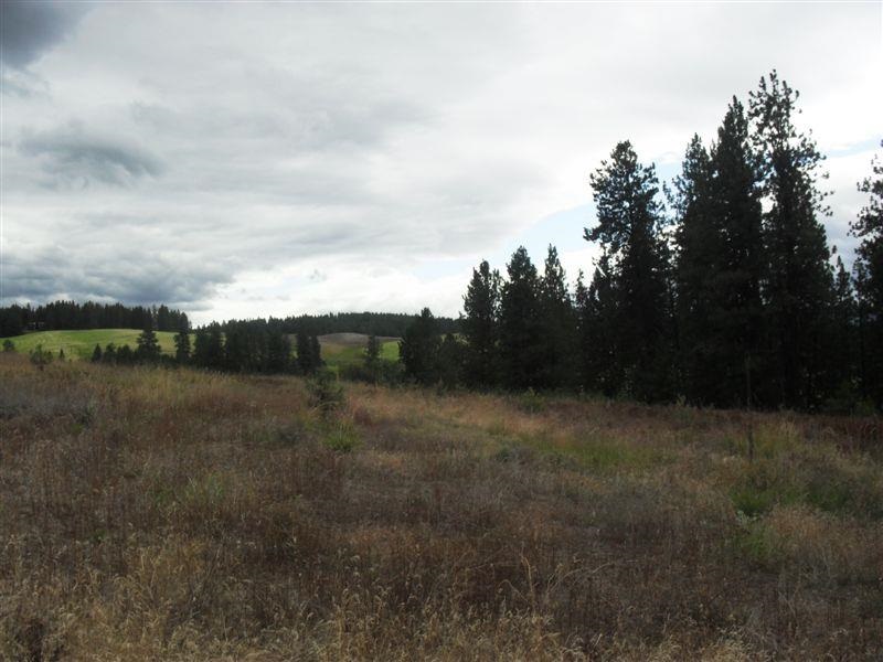 259 Hotchkiss Road Colville, WA 99114 - Photo 10 of 20