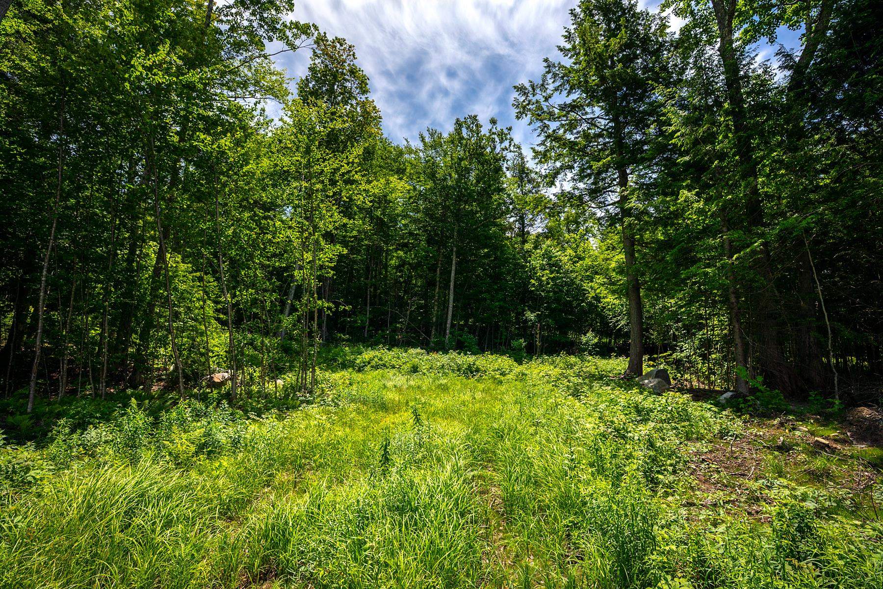 0 Little Pond Road Andover, VT 05143 - Photo 7 of 16