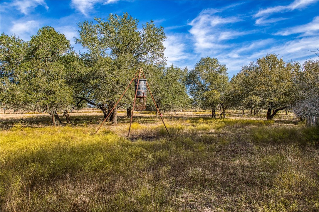 7300 Goehring Road Ledbetter, TX 78946 - Photo 19 of 21 a view of yard with trees