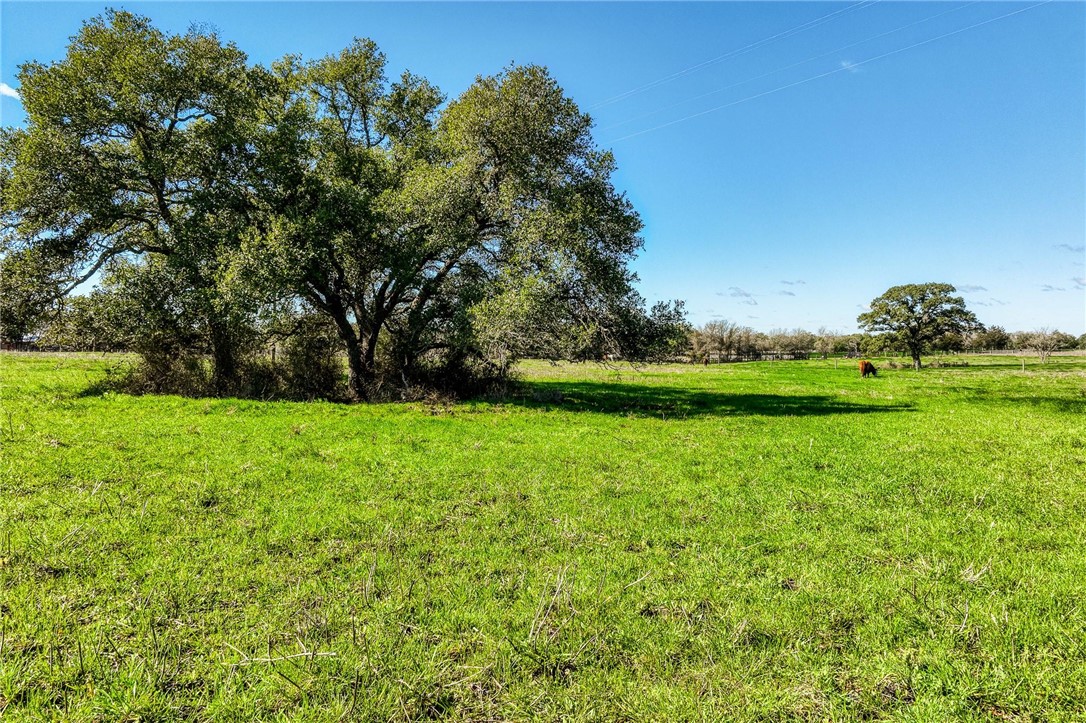 7300 Goehring Road Ledbetter, TX 78946 - Photo 21 of 21 a view of a grassy field with trees