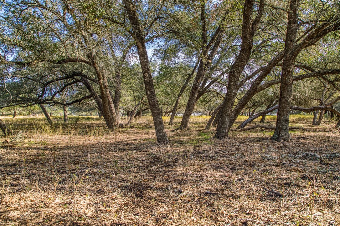 7300 Goehring Road Ledbetter, TX 78946 - Photo 10 of 21 a view of dirt yard with a trees