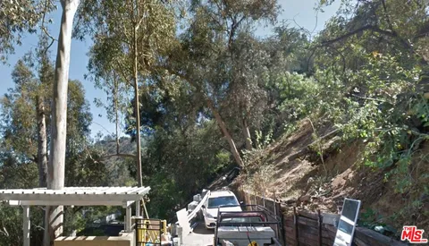 a view of a tree in a backyard