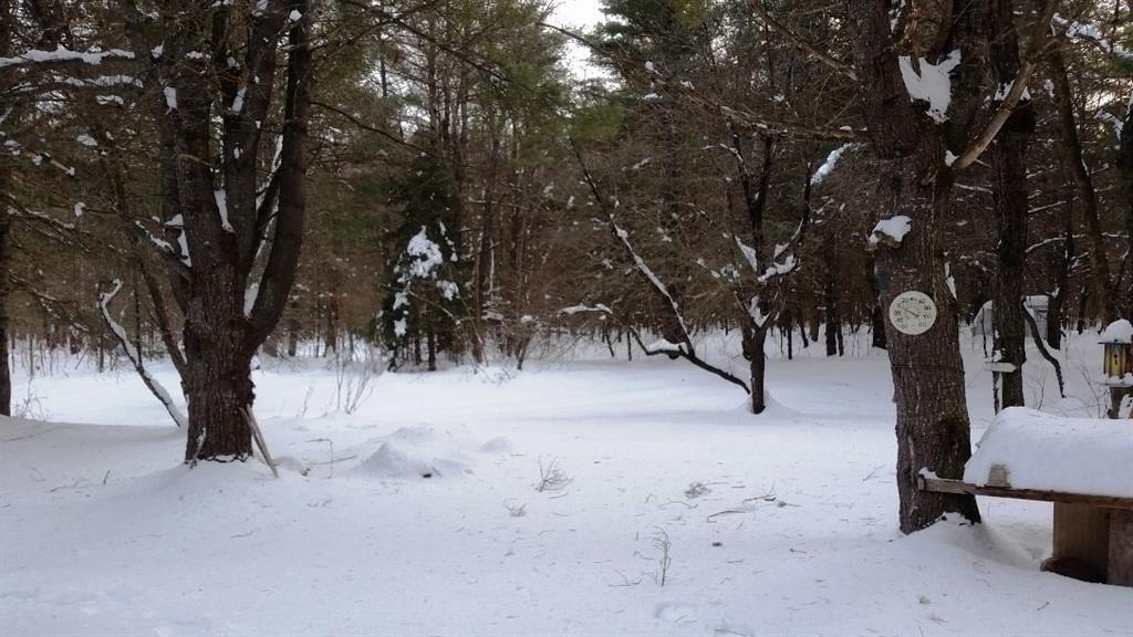 792 Back Road New Portland, ME 04961 - Photo 22 of 26 Photo