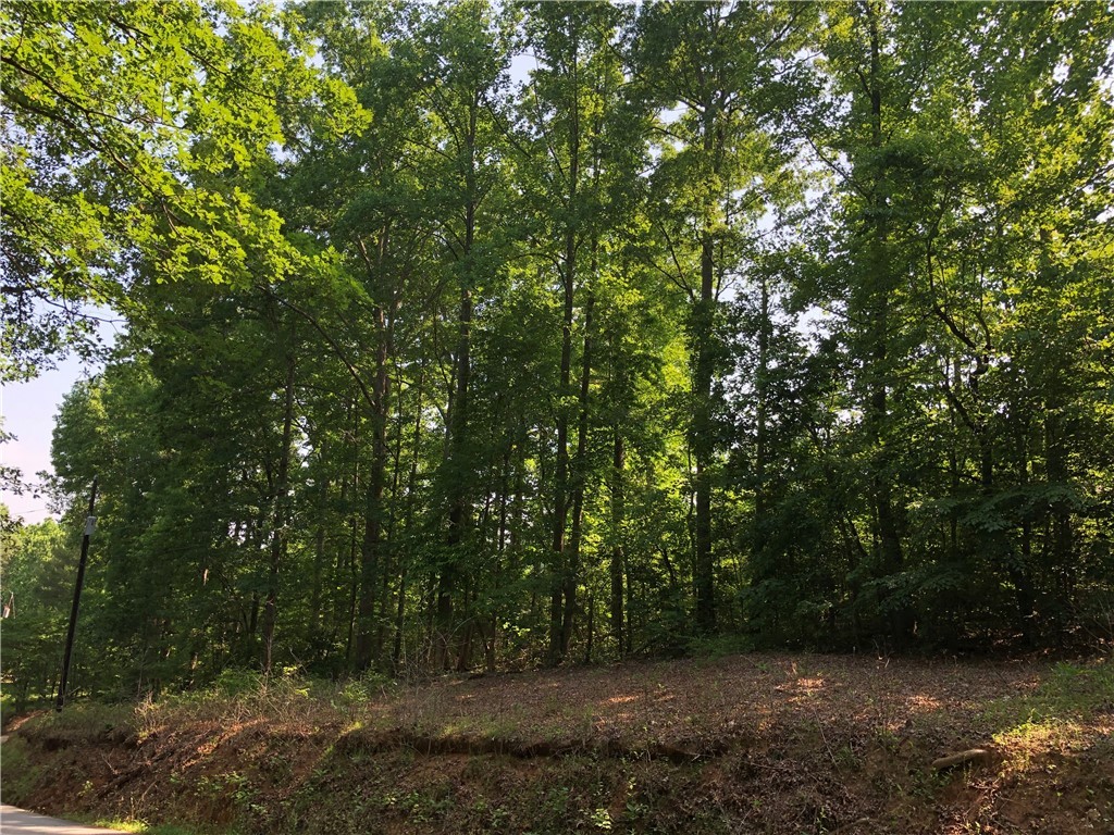 0 Noe Road Greer, SC 29651 - Photo 8 of 9