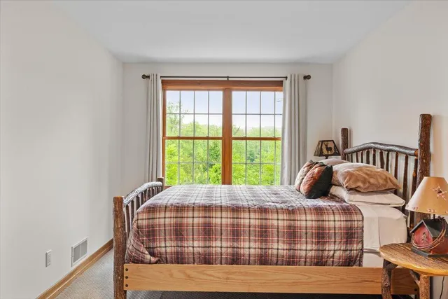 a view of a forest with trees in the background