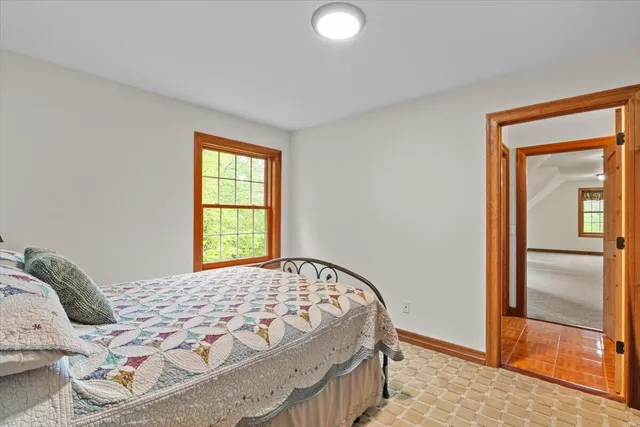 a view of a garden with a pathway