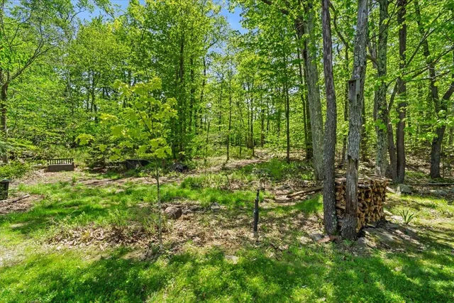 a view of a house with wooden walls and potted plants