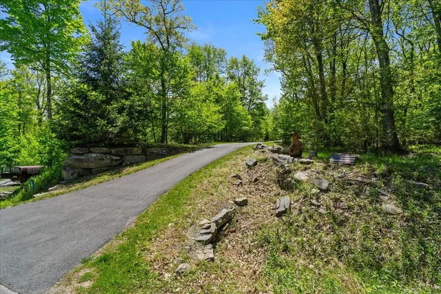 a view of a lush green space with sea