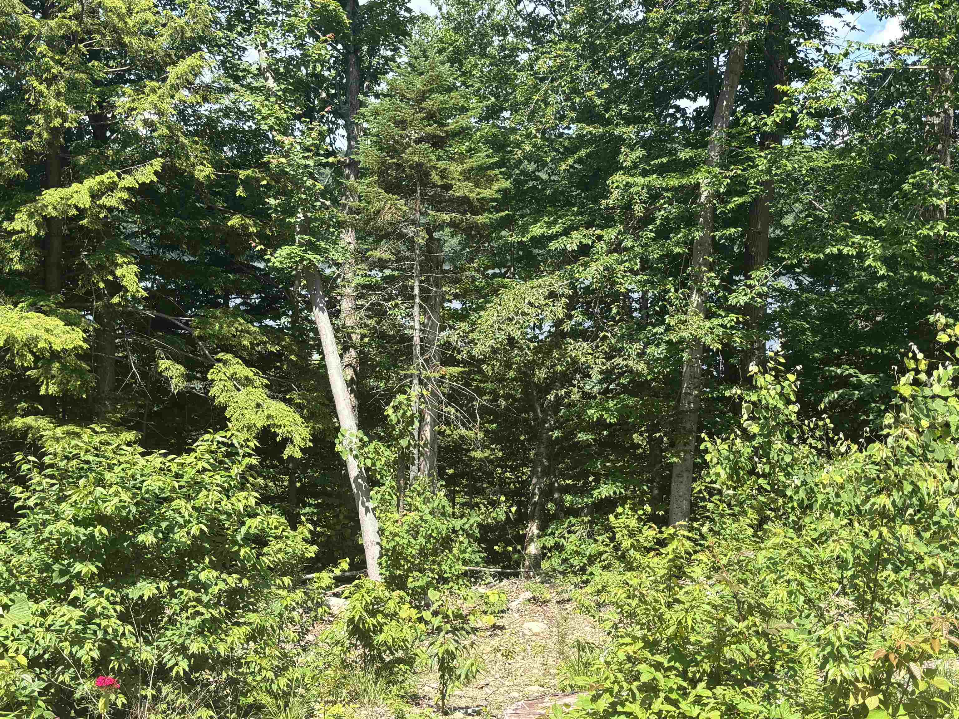 0 Vt Route 114 Norton, VT 05907 - Photo 10 of 45