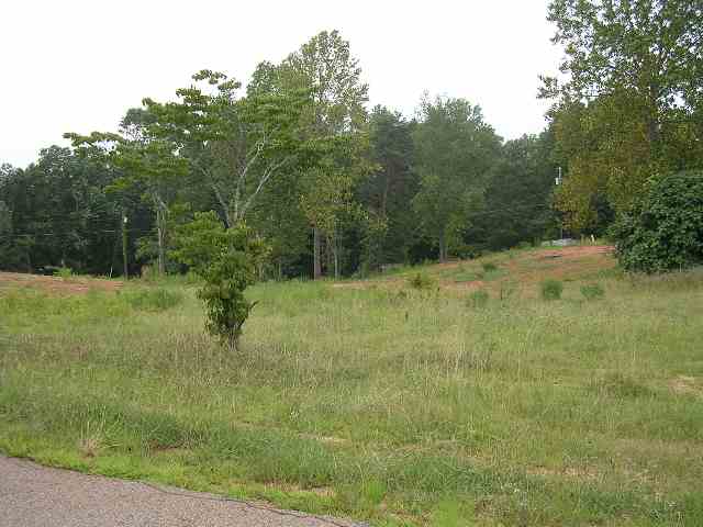 331-a&b Addis Circle Anderson, SC 29626 - Photo 3 of 3