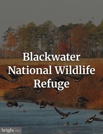 a view of outdoor space