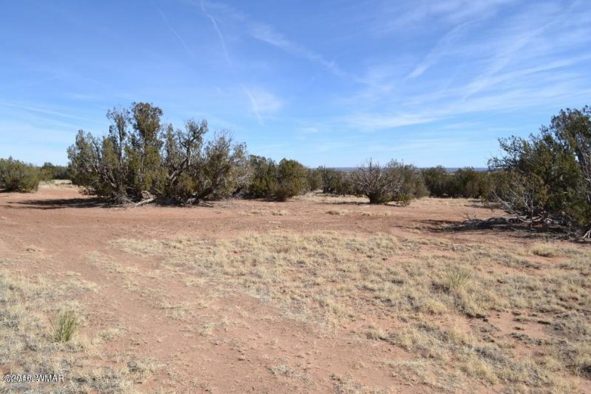 3829 Petersen Road, Unit 111A Snowflake, AZ 85937 - Photo 11 of 12 11_41361E16FD8C2221