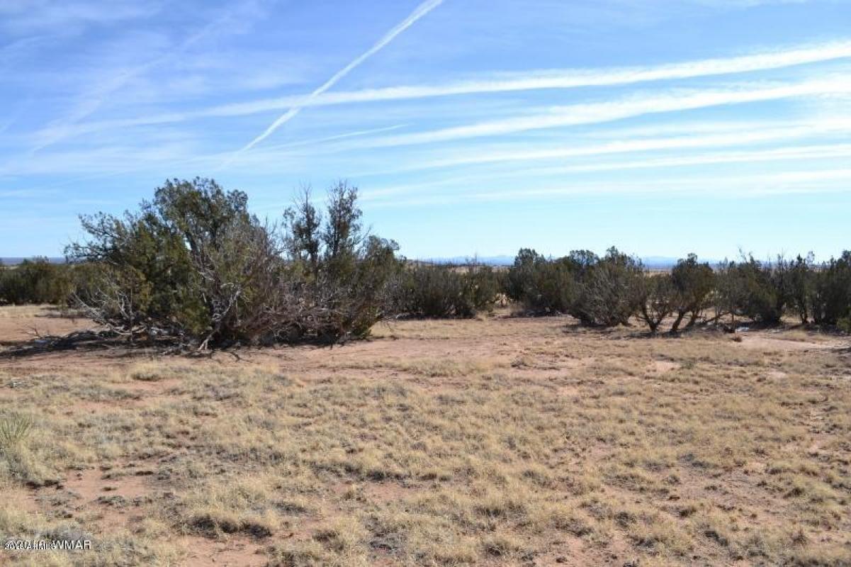 3829 Petersen Road, Unit 111A Snowflake, AZ 85937 - Photo 10 of 12 10_B8297B7EE1053481