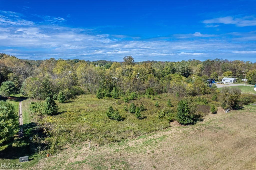 0 State Rt 550 Vincent, OH 45784 - Photo 14 of 17 Bird's eye view of a forest