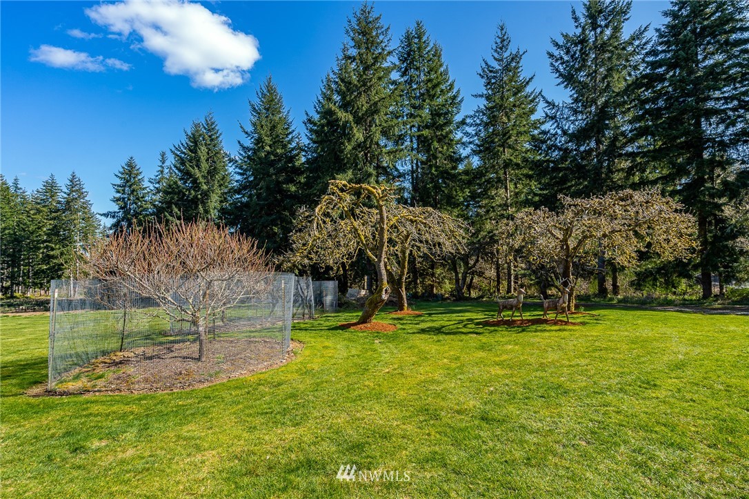 163 Crego Ridge Road Chehalis, WA 98532 - Photo 21 of 27