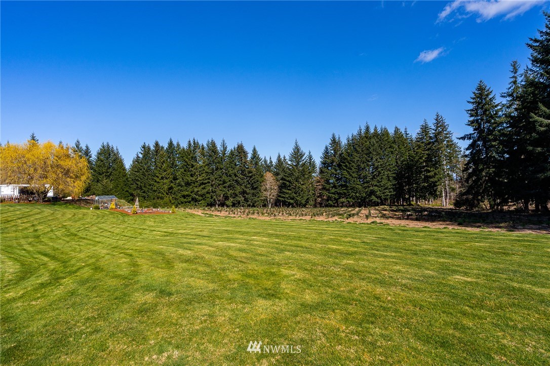 163 Crego Ridge Road Chehalis, WA 98532 - Photo 22 of 27