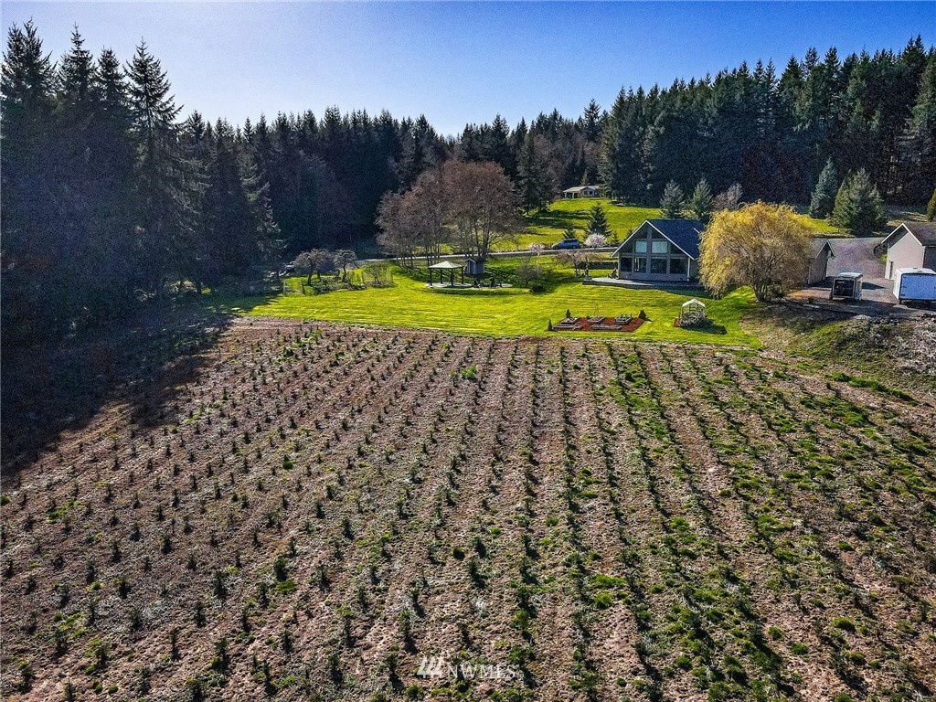 163 Crego Ridge Road Chehalis, WA 98532 - Photo 25 of 27