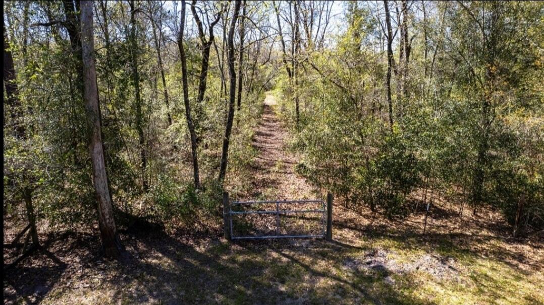 4000 Cox Road Sumter, SC 29154 - Photo 24 of 26