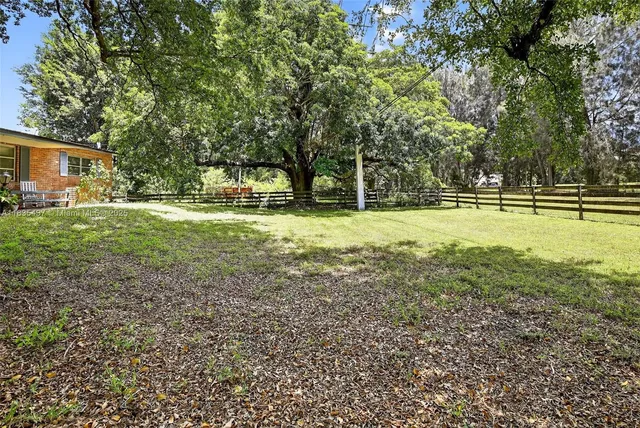 a view of a backyard with large trees