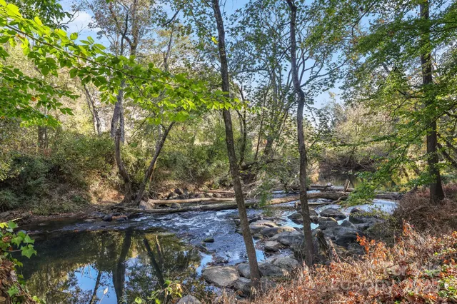 a view of a yard with a tree
