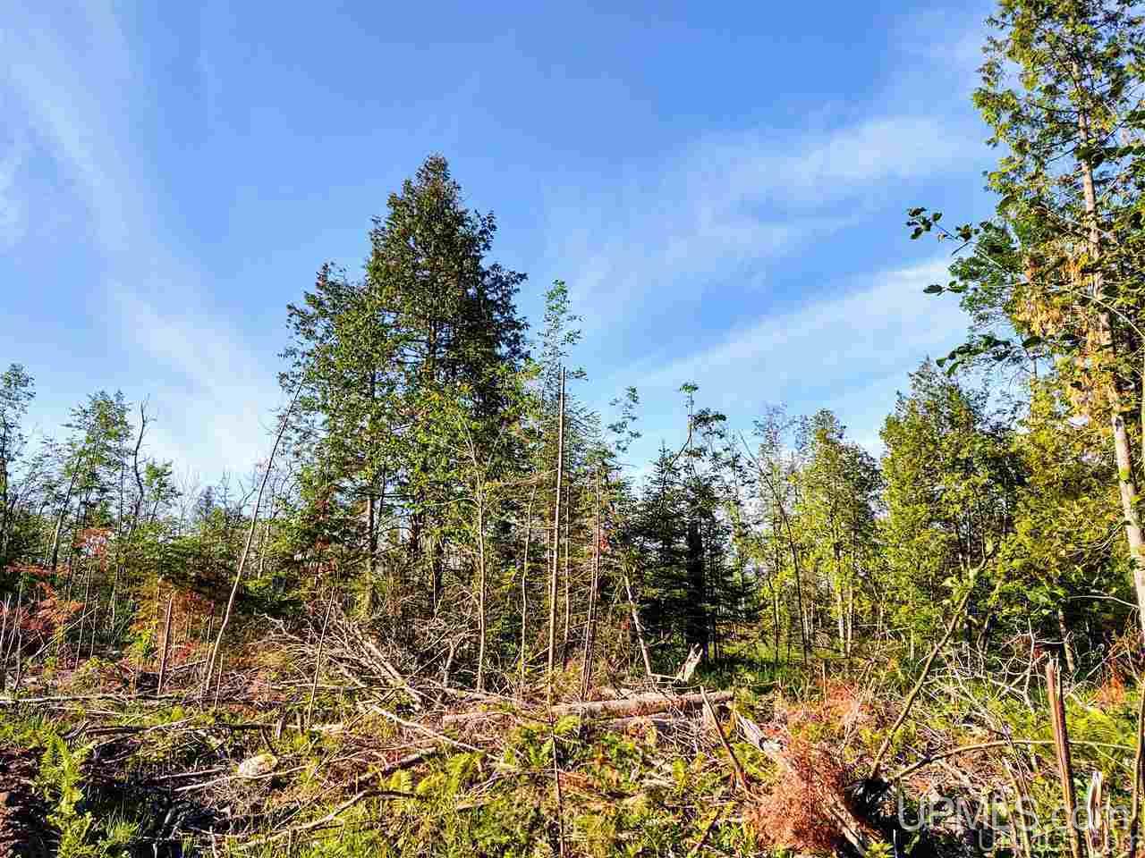 Tbd Off Arnheim Road Baraga, MI 49908 - Photo 16 of 28 Gallery Image 16