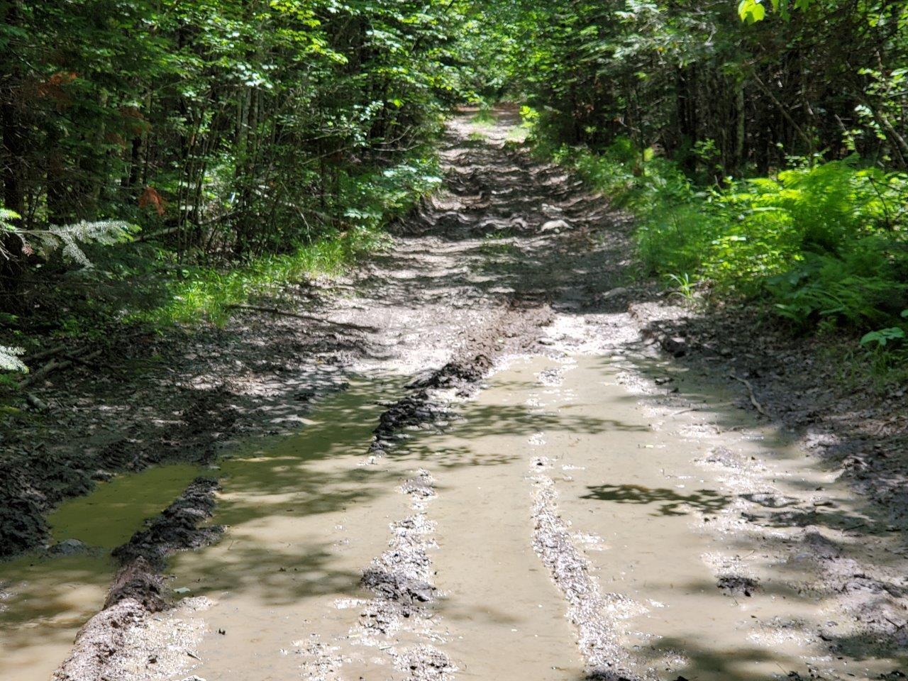 0 Morgan Road Burnham, ME 04922 - Photo 27 of 69 20250617_124027