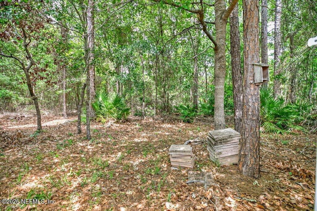 3839 Trail Ridge Road Middleburg, FL 32068 - Photo 69 of 91 067-3839TrailRidgeRoad-Middleburg-FL-320