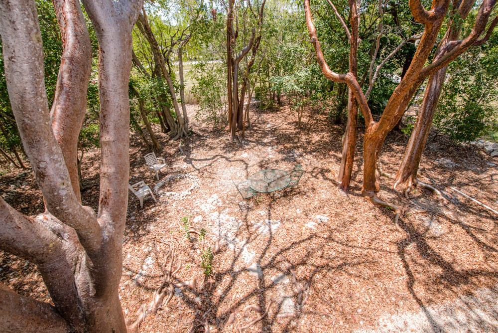 180 Coral Road Islamorada, FL 33036 - Photo 24 of 28 Backyard