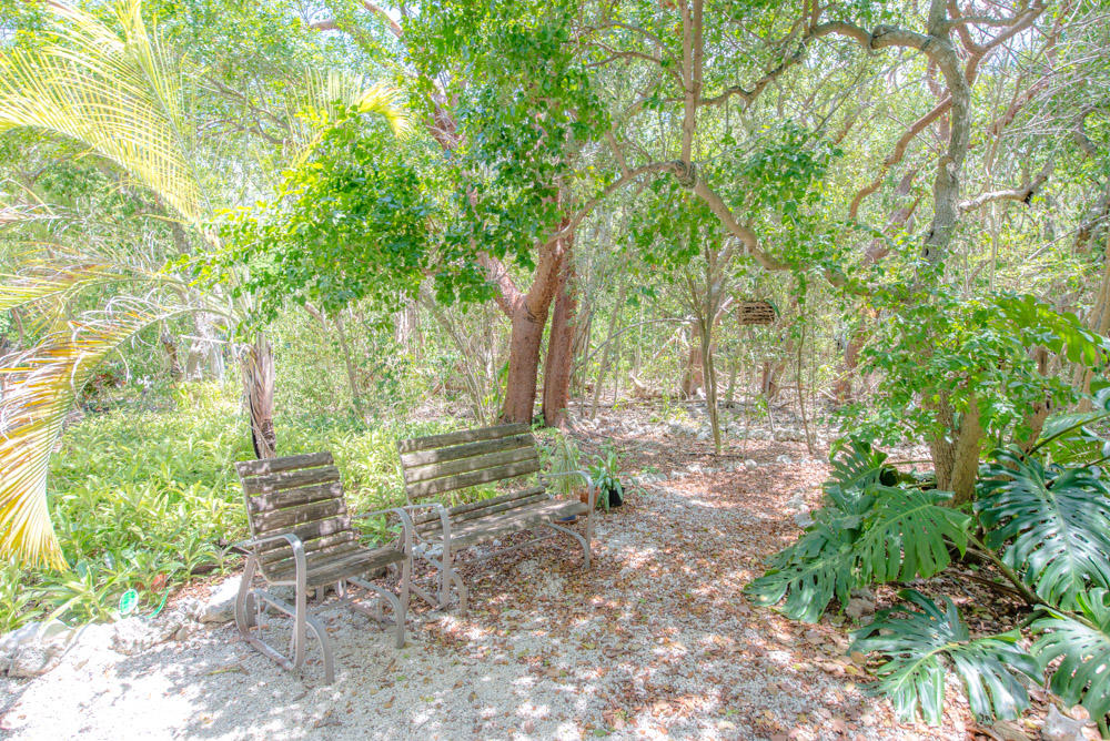 180 Coral Road Islamorada, FL 33036 - Photo 26 of 28 Enjoy the natural surroundings