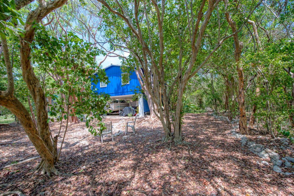 180 Coral Road Islamorada, FL 33036 - Photo 4 of 28 Nestled among the trees