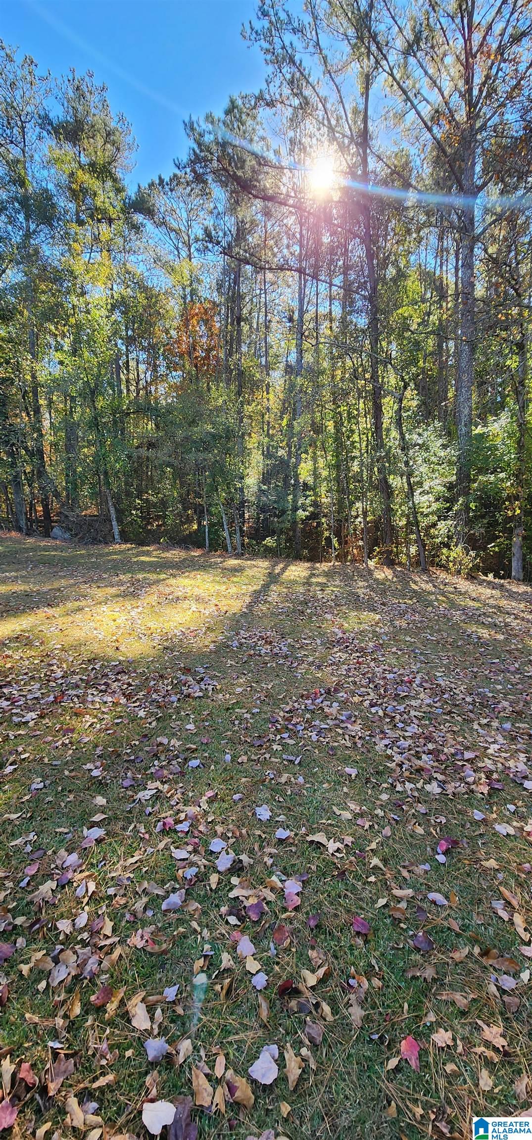 2441 Springville Boulevard Oneonta, AL 35121 - Photo 18 of 36 Gallery Image 18