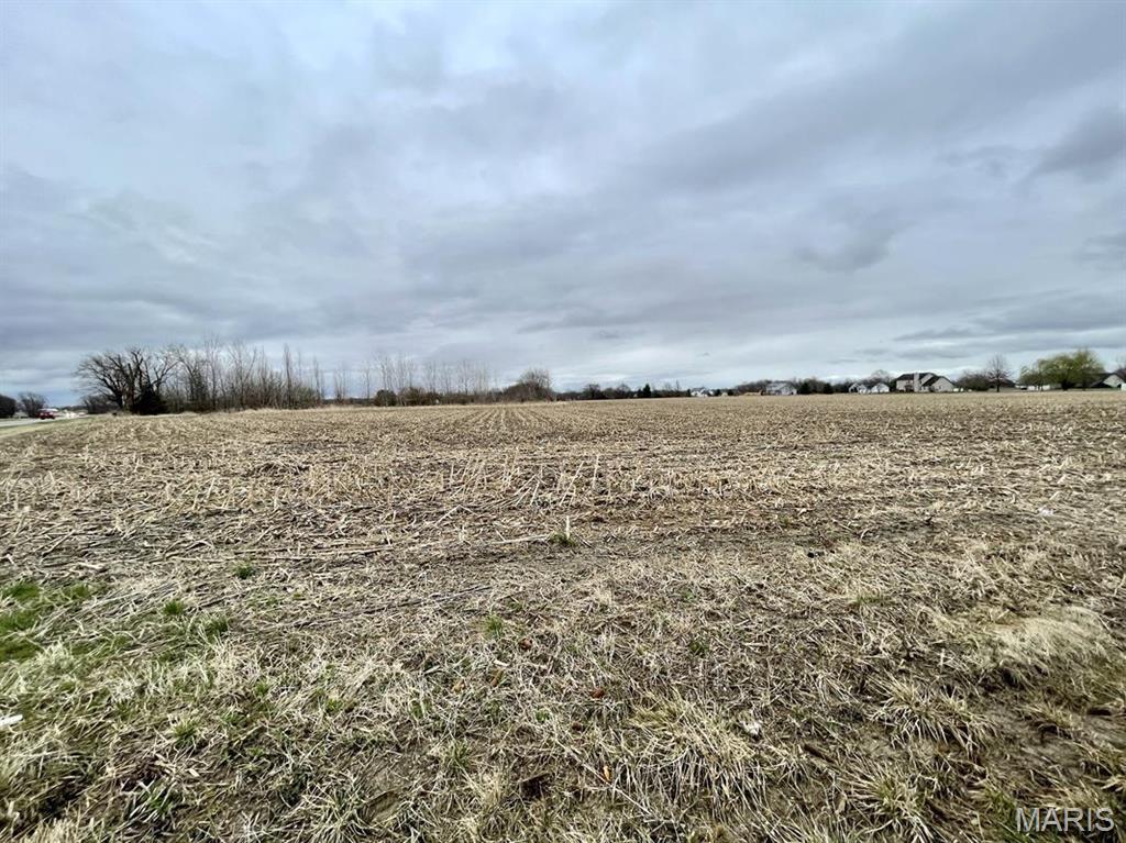 0 Us Highway Highland, IL 62249 - Photo 4 of 12