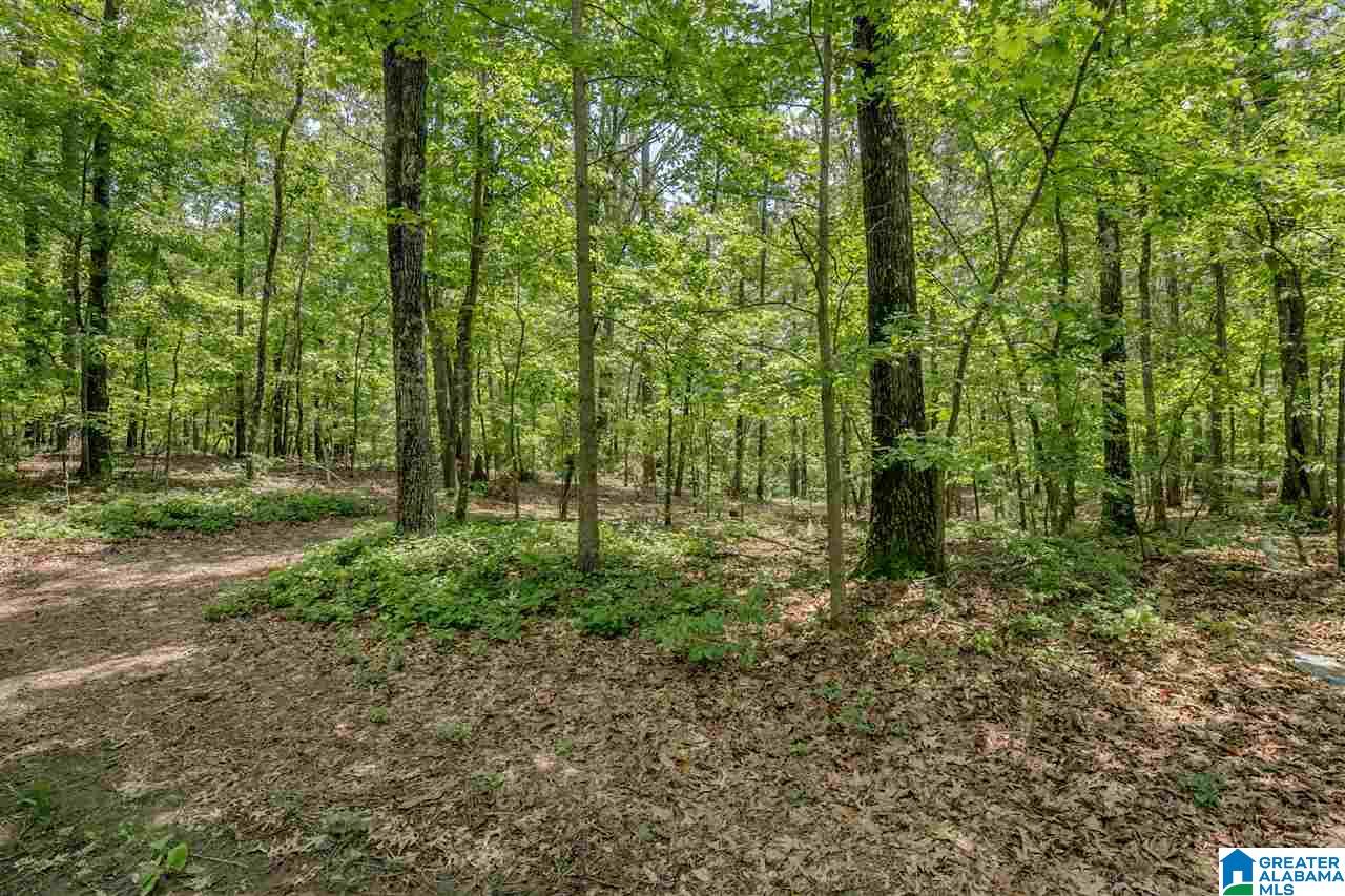 5 Augusta Way, Unit 154 Birmingham, AL 35242 - Photo 3 of 7