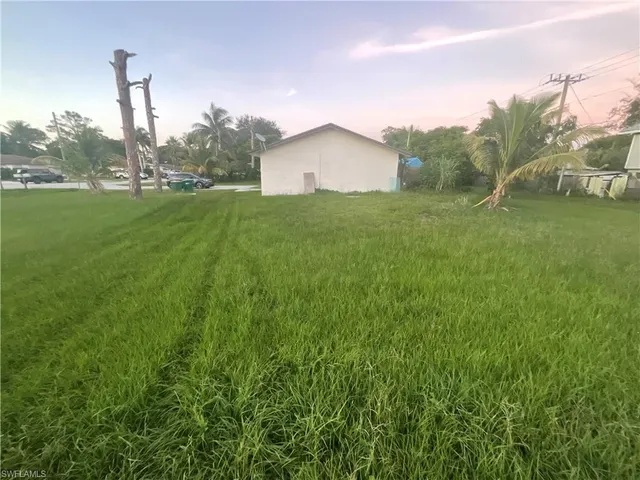 a view of a house with a backyard and a tree