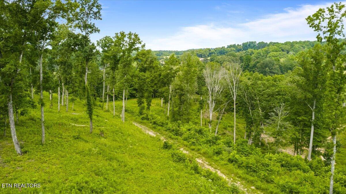 1 Mill Creek Road Andersonville, TN 37705 - Photo 22 of 26 08-Mill Creek Rd