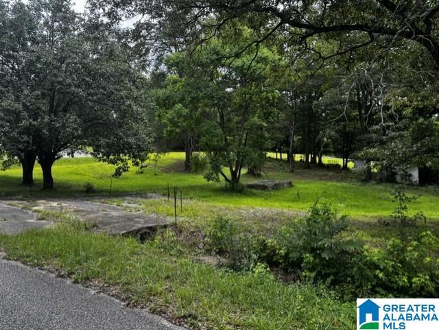 717 18th Street, Unit 9 & 10 Calera, AL 35040 - Photo 2 of 2