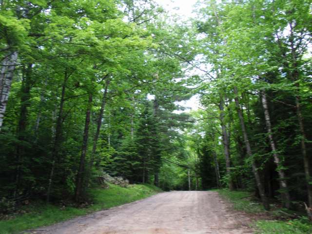 On Maple Lane Eagle River, WI 54521 - Photo 17 of 20 Gallery Image 17