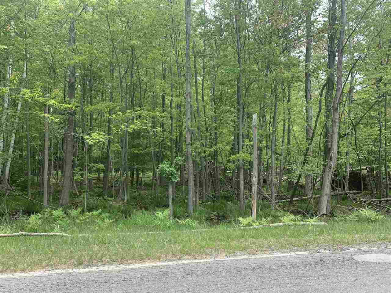 N Ridge Mears, MI 49436 - Photo 1 of 1 Gallery Image 1